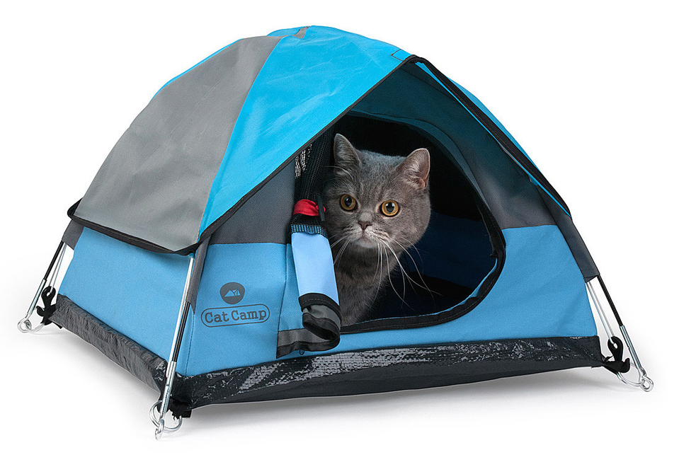 愛猫家必見 可愛いくて本格的な猫用テントが登場 Camplog Gear